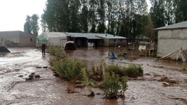 Van'daki dolu ve sağanak sele neden oldu: Tarlalar büyük zarar gördü