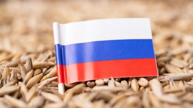 Rusya, 6 Afrika ülkesine ücretsiz olarak tahıl gönderecek