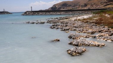 Suların çekildiği Arin Gölü'nün kıyıları otlağa dönüştü