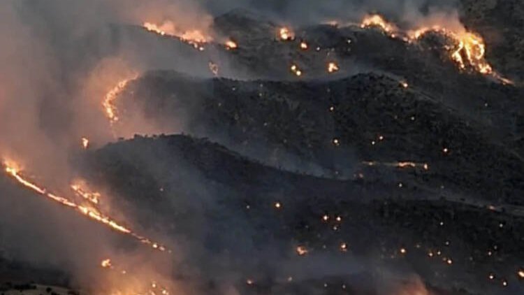 Adıyaman'da orman yangını