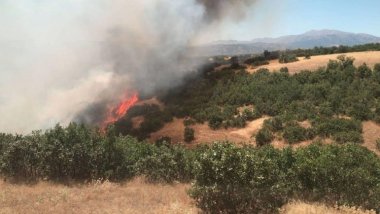 Malatya ve Siirt'te orman yangını
