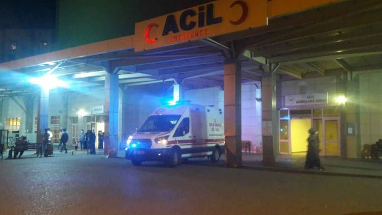 Güvercin cinayeti! Parke taşıyla öldürüldü