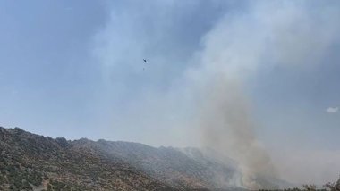 Diyarbakır’da orman yangını