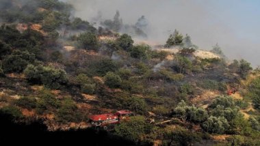 Maraş'ta orman yangını