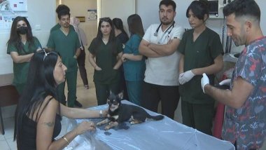 Süleymaniyeli öğrenciler Dicle Üniversitesi’nde staj görüyor