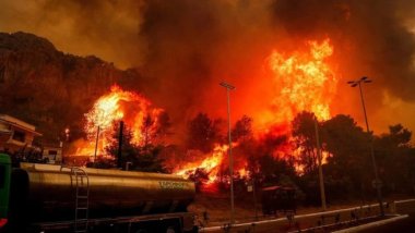 Yunanistan'da aralarında Kürtlerin de olduğu 26 yanmış ceset bulundu