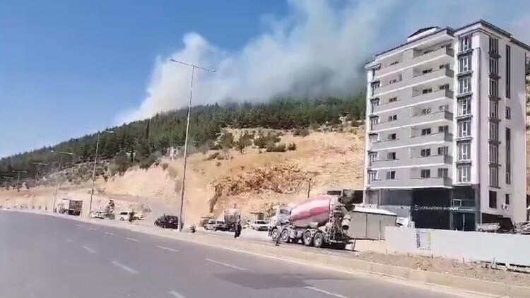 Maraş'ta korkutan orman yangını