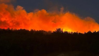 Diyarbakır’da orman yangını