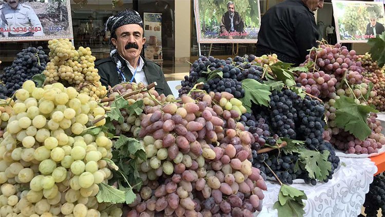 Duhok’ta 16’ncı Üzüm ve Bal Fuarı 20 Eylül'de yapılacak
