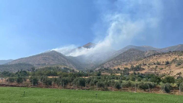 Maraş'ta orman yangını
