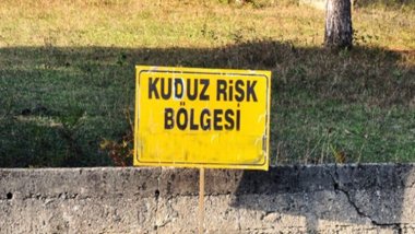 Diyarbakır Hani'de kuduz alarmı: Bir çiftlik karantinaya alındı