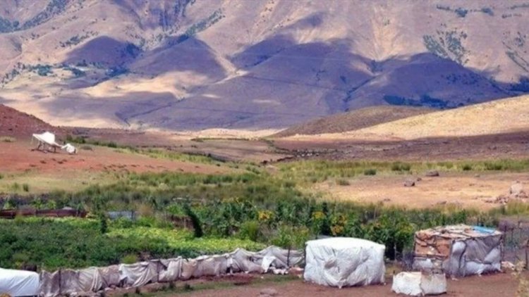 Diyarbakır-Muş arasındaki köyde 13 yıldır ne elektrik var ne yol