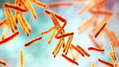 Dünyanın ikinci ölümcül bulaşıcı hastalığı! 7,5 milyon kişide tespit edildi