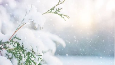 El Nino yazı sonrası La Nina kışı geliyor