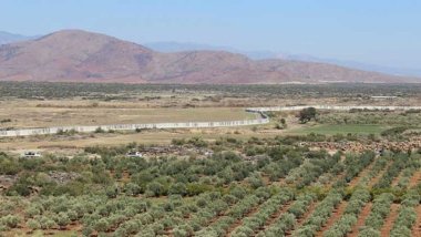 Afrin: Gazze’ye yardım gerekçesi ile 3870 zeytin ağacına el konuldu