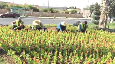 Erbil'de 'NEFES' projesi kapsamında 47 bin fidan dikilecek