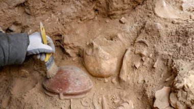 Van: 3 bin yıllık iskeletlerde beyin ameliyatı izleri tespit edildi