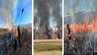 Yüksekova’daki Nehil Sazlığı’nda yangın