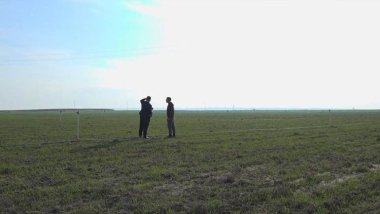 Kürtlerin tarım arazilerine çöken ithal Araplar ekin yapmaya başladı