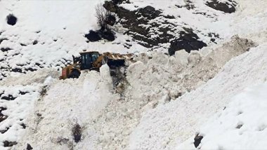 Hakkari'de çığ: 2 köy yolu kapandı, kentte eğitime ara verildi