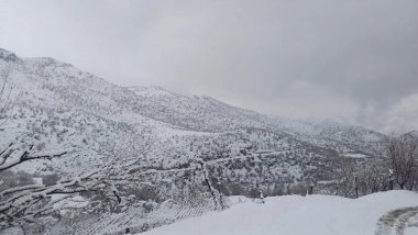 Şırnak'ta Gabar Dağı bölgesine girişler 15 gün süreyle yasaklandı