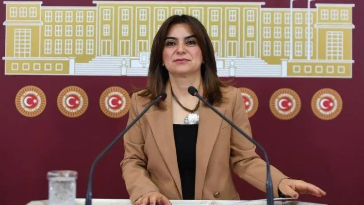 DEM Parti'den Başak Demirtaş açıklaması