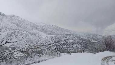 Şırnak-Gabar'da 15 günlük yasak