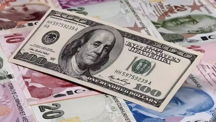 Dolar 31 lirayı gördü