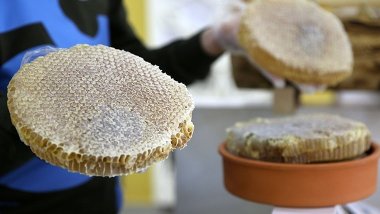 Bitlis balı, Paris'teki yarışmada 'Altın Bal' ödülü aldı