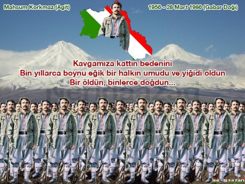 Palaşımlarımız