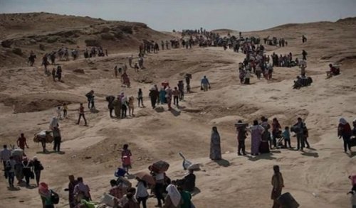 Şengal Ezidi Trajedisi