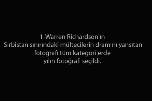2015'in en iyi fotoğrafları