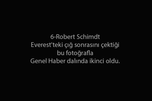 2015'in en iyi fotoğrafları